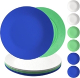 צלחת מסיבי קש חיטה לילדים קטנים